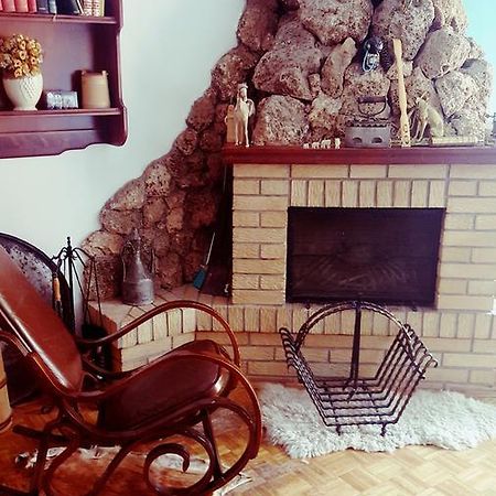 Vila De Turist Nova Varoš エクステリア 写真