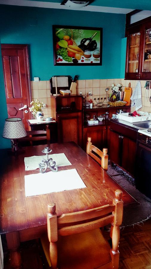 Vila De Turist Nova Varoš エクステリア 写真